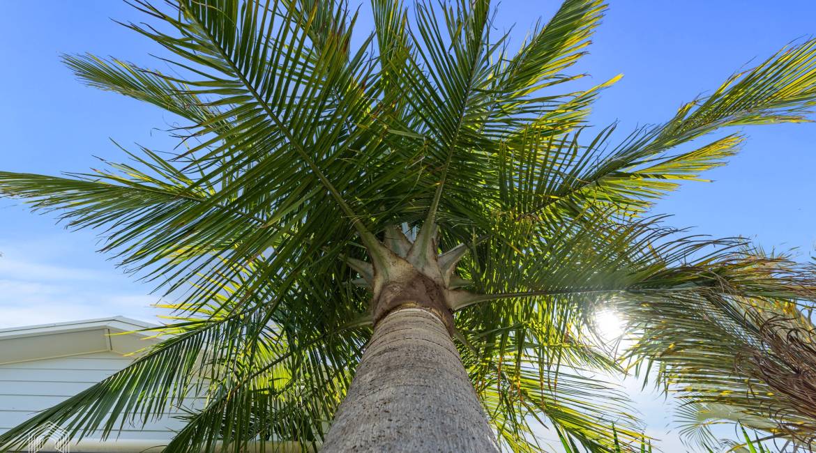 20 Sixth Street, Adamstown, NSW 2289 AUSTRALIA