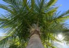 20 Sixth Street, Adamstown, NSW 2289 AUSTRALIA