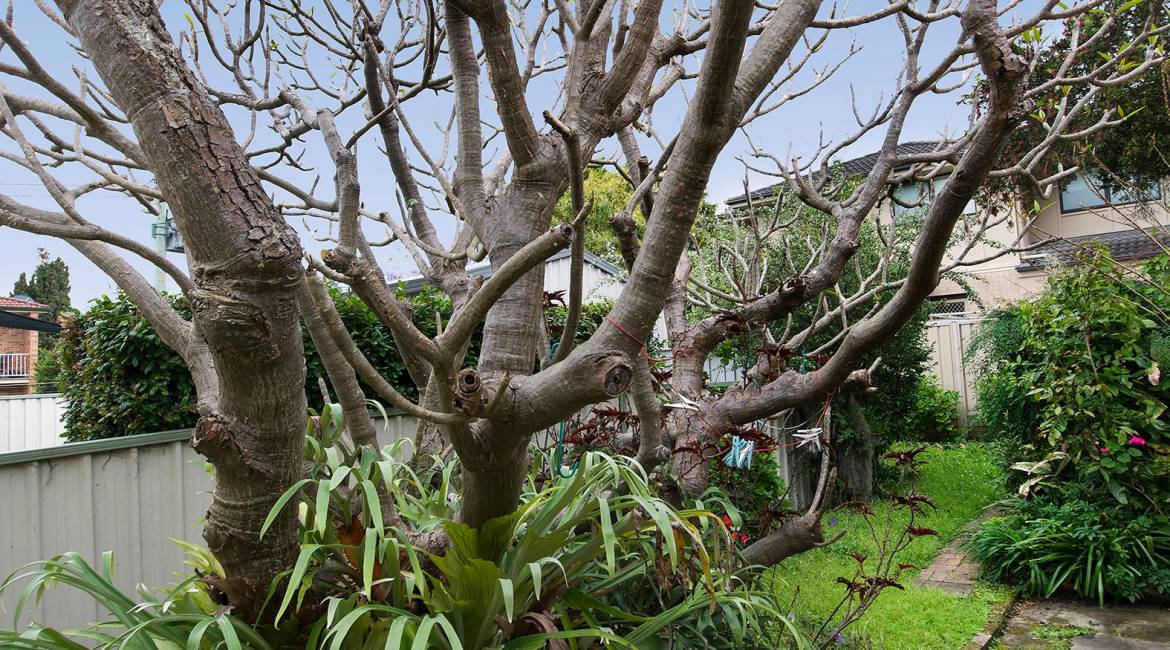 8 Ada Street, Waratah, NSW 2298 AUSTRALIA