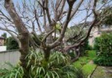 8 Ada Street, Waratah, NSW 2298 AUSTRALIA