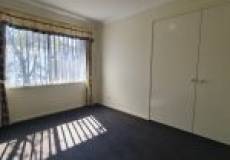 16 Dianella Court, Warabrook, NSW 2304 AUSTRALIA