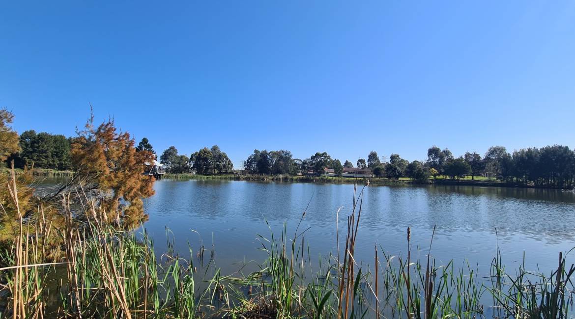 16 Dianella Court, Warabrook, NSW 2304 AUSTRALIA