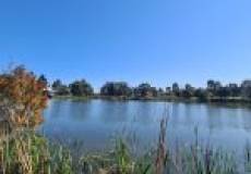 16 Dianella Court, Warabrook, NSW 2304 AUSTRALIA