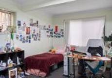 40 Kimian Avenue, Waratah West, NSW 2298 AU