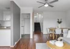 5/11 Young Street, Georgetown, nsw 2298 AU