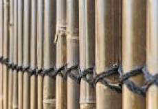 27 Kitchener Parade, Mayfield East, NSW 2304 AUSTRALIA