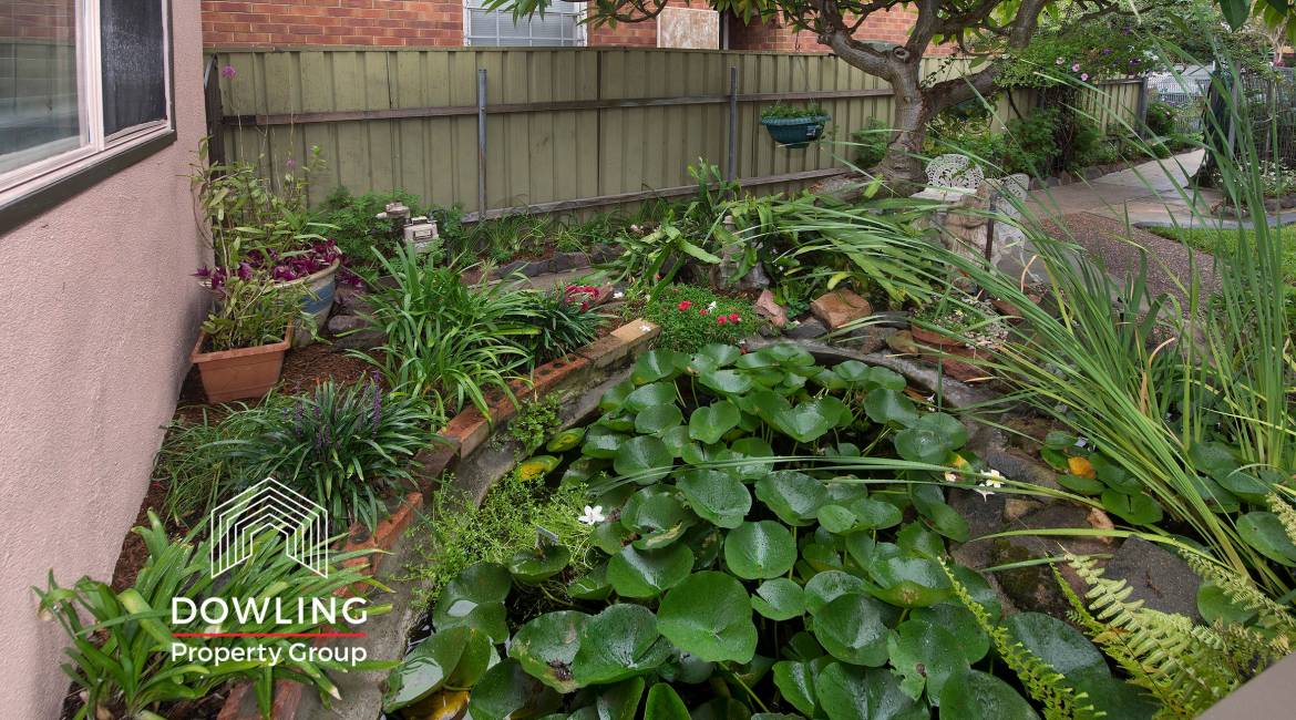 71 Barton Street, Mayfield, NSW 2304 AUSTRALIA