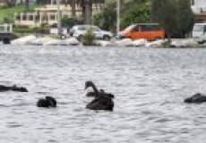 686A Pacific Highway, Belmont, NSW 2280 AUSTRALIA