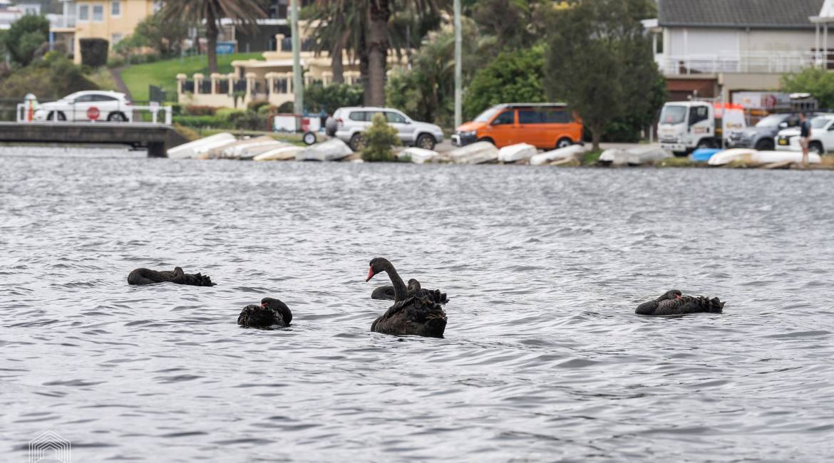 686A Pacific Highway, Belmont, NSW 2280 AUSTRALIA