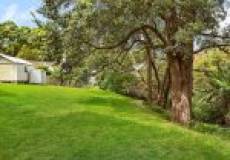 20 Buller Street, Charlestown, NSW 2290 AU