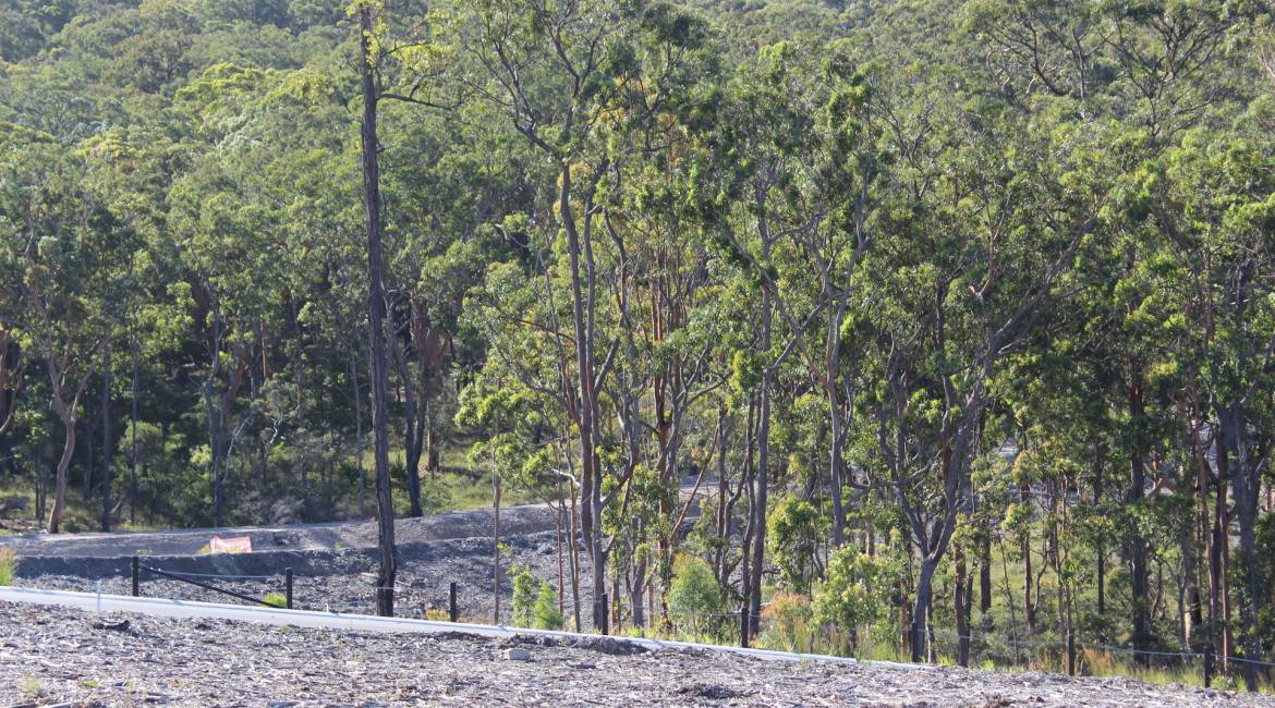 58a Comel Ave, Cameron Park, NSW 2285