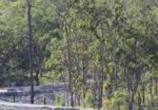 58a Comel Ave, Cameron Park, NSW 2285