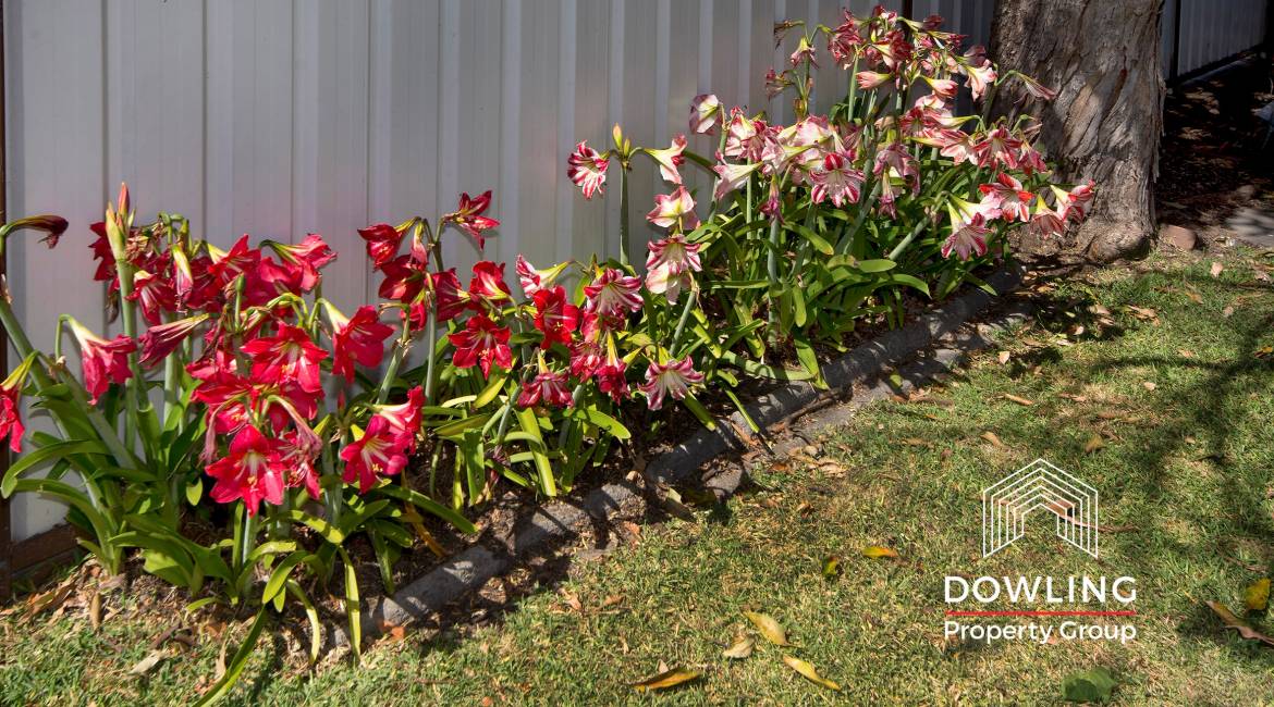 57 Metcalfe Street, Wallsend, NSW 2287 AUSTRALIA