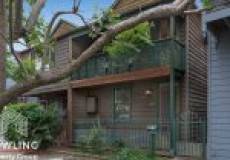 25 Hargrave Street, Carrington, NSW 2294 AUSTRALIA