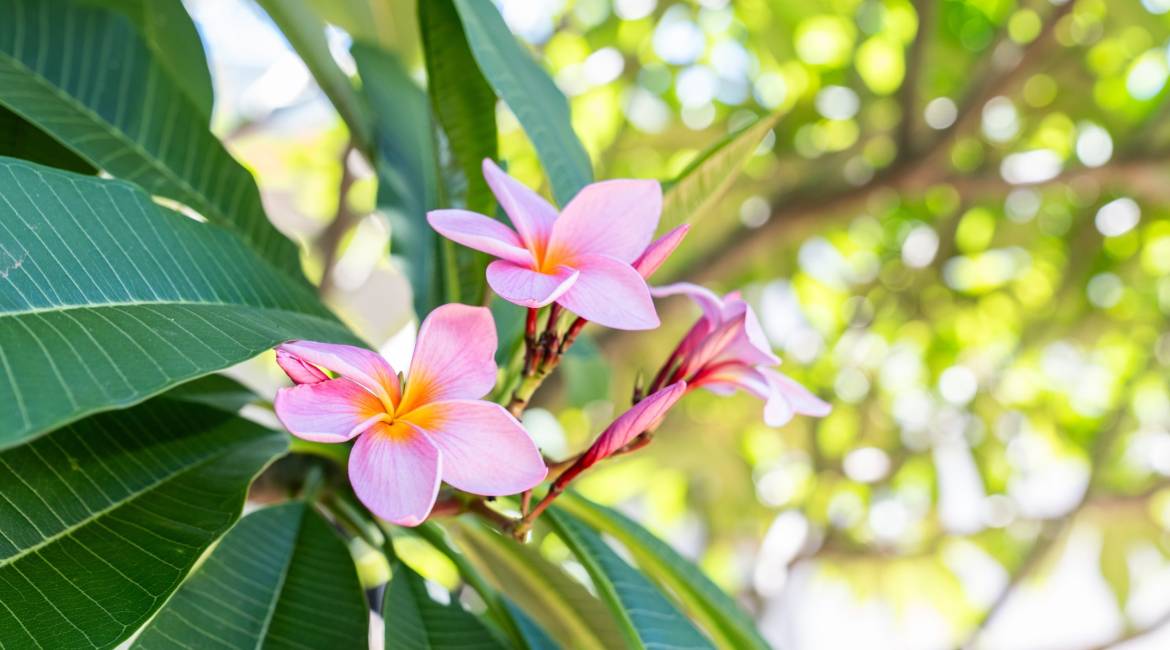 58 George Street, Mayfield East, NSW 2304 AUSTRALIA