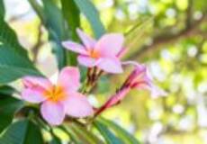 58 George Street, Mayfield East, NSW 2304 AUSTRALIA